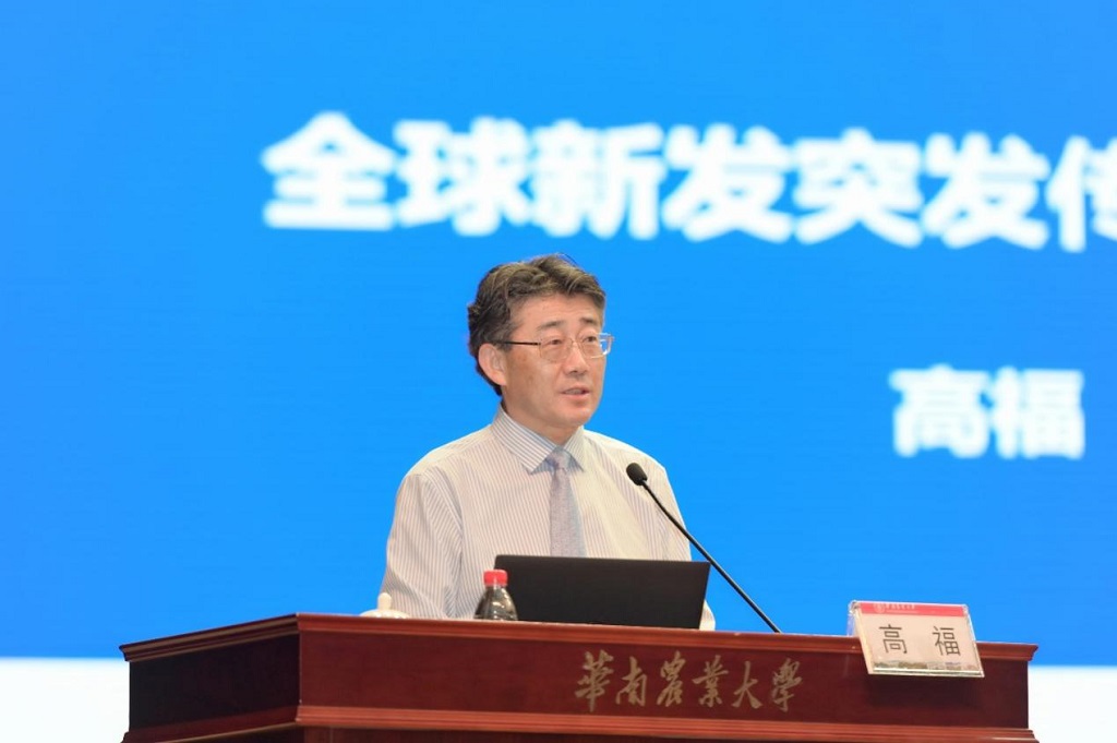 高福