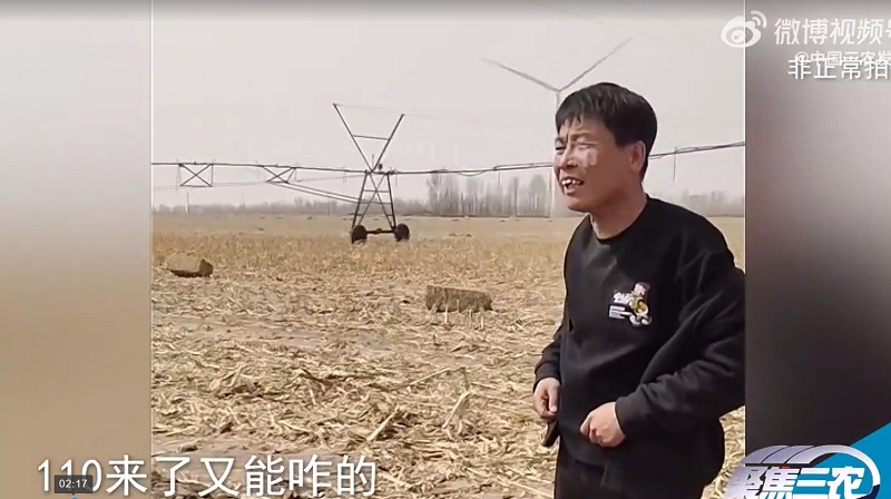视频截图