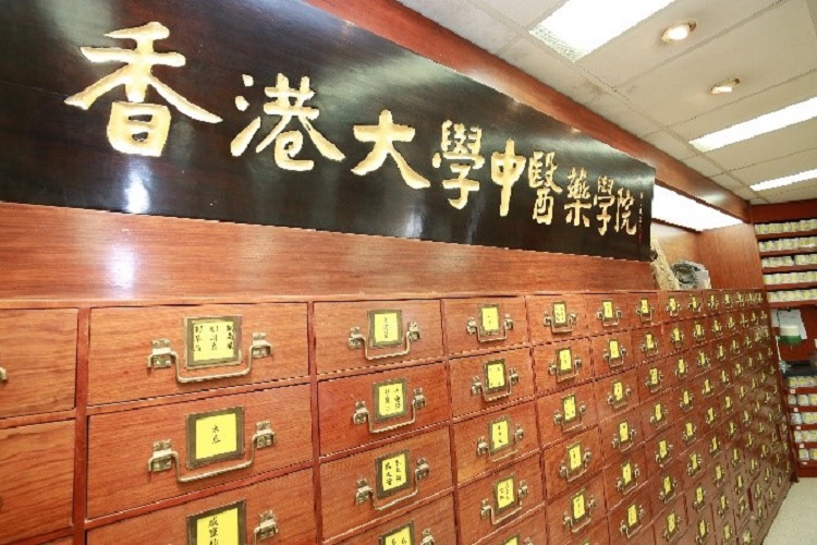 香港大学中医药学院
