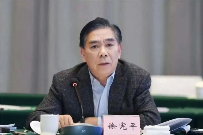 徐宪平