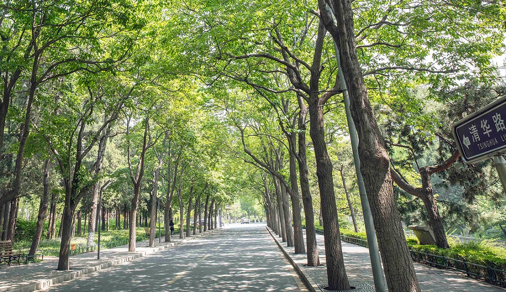 北京清华大学校园一角