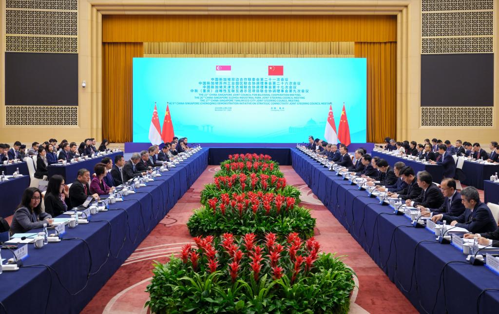 新加坡副总理兼贸工部长颜金勇与中国国务院副总理丁薛祥共同主持中新双边合作会议