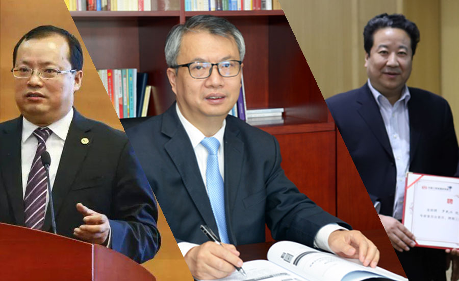 中国全国人民代表大会常务委员会宣布周新民、罗琦、刘仓理的代表资格终止